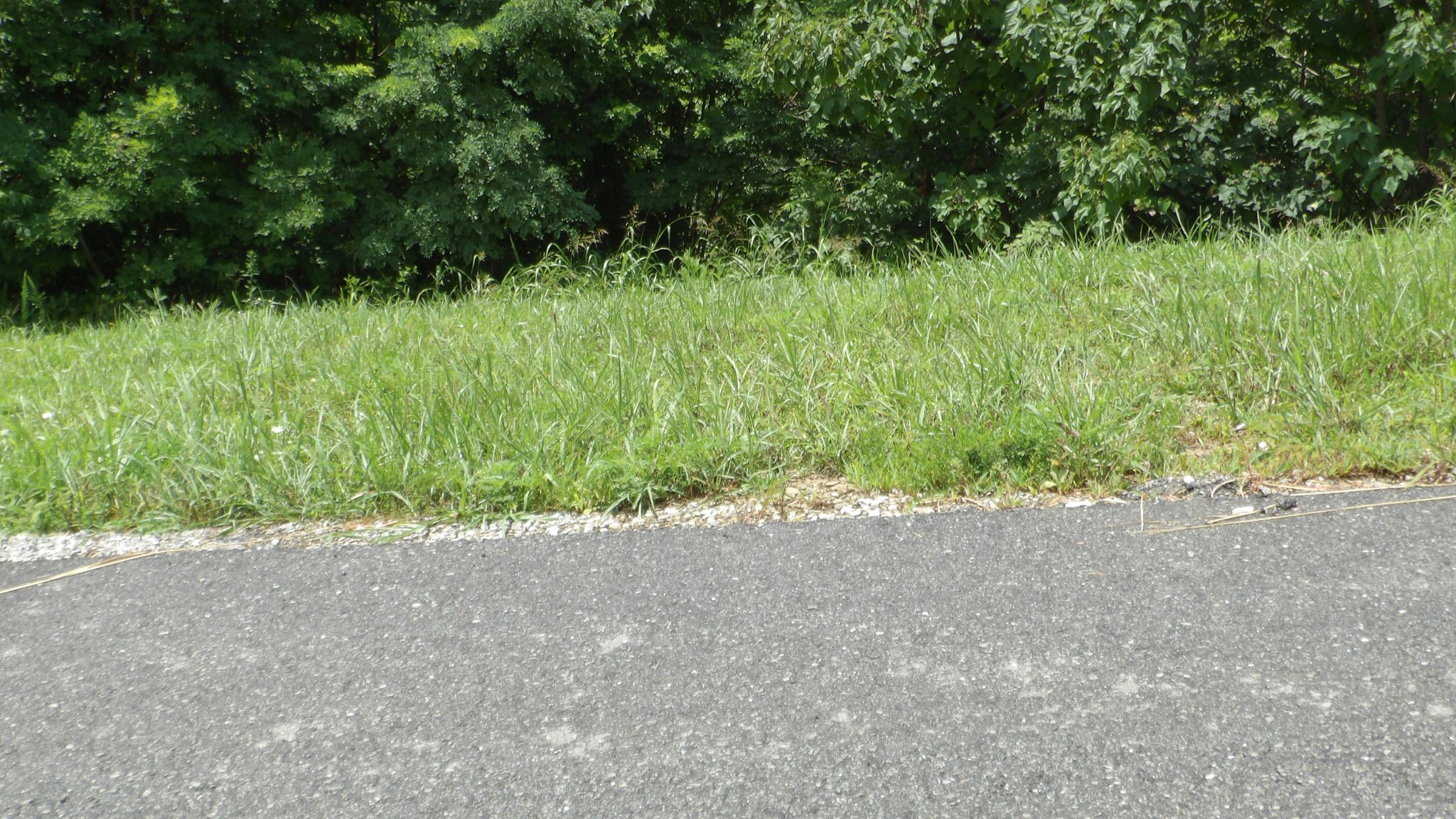 17 D Crappie Lane Hilham TN 38568