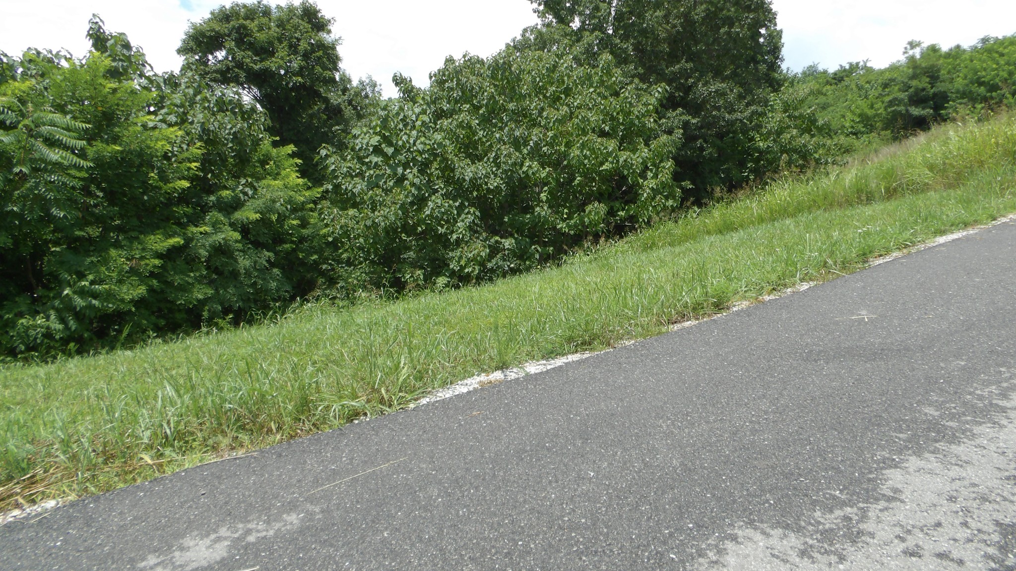 17 D Crappie Lane Hilham TN 38568
