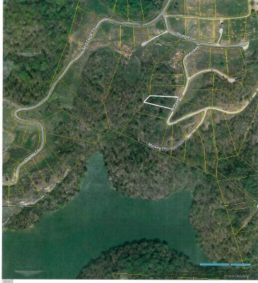 17 D Crappie Lane Hilham TN 38568