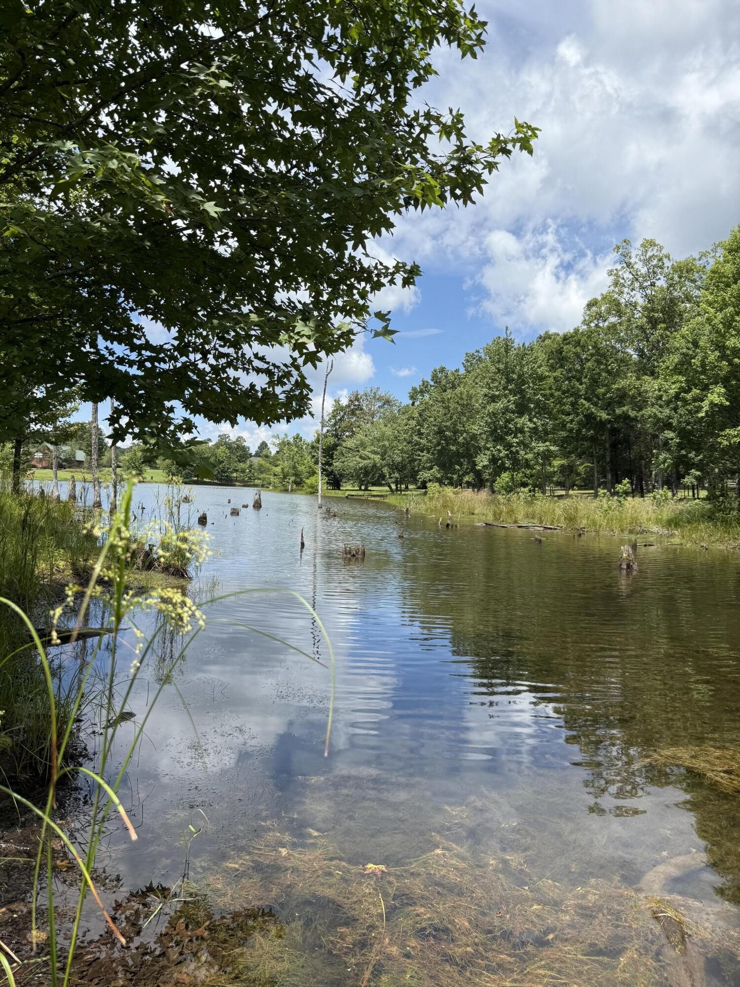 6 Greenfields Way, N Dunlap TN 37327