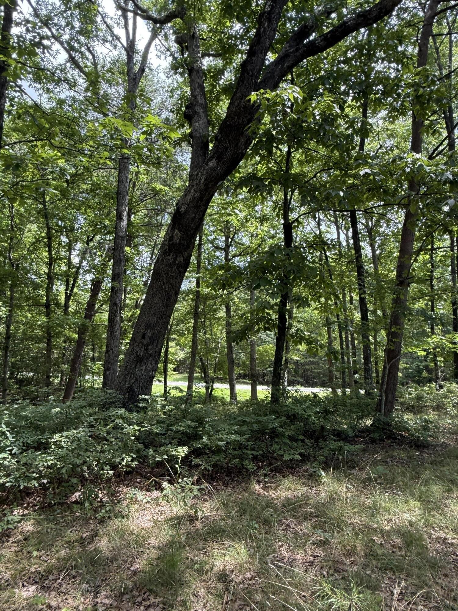6 Greenfields Way, N Dunlap TN 37327