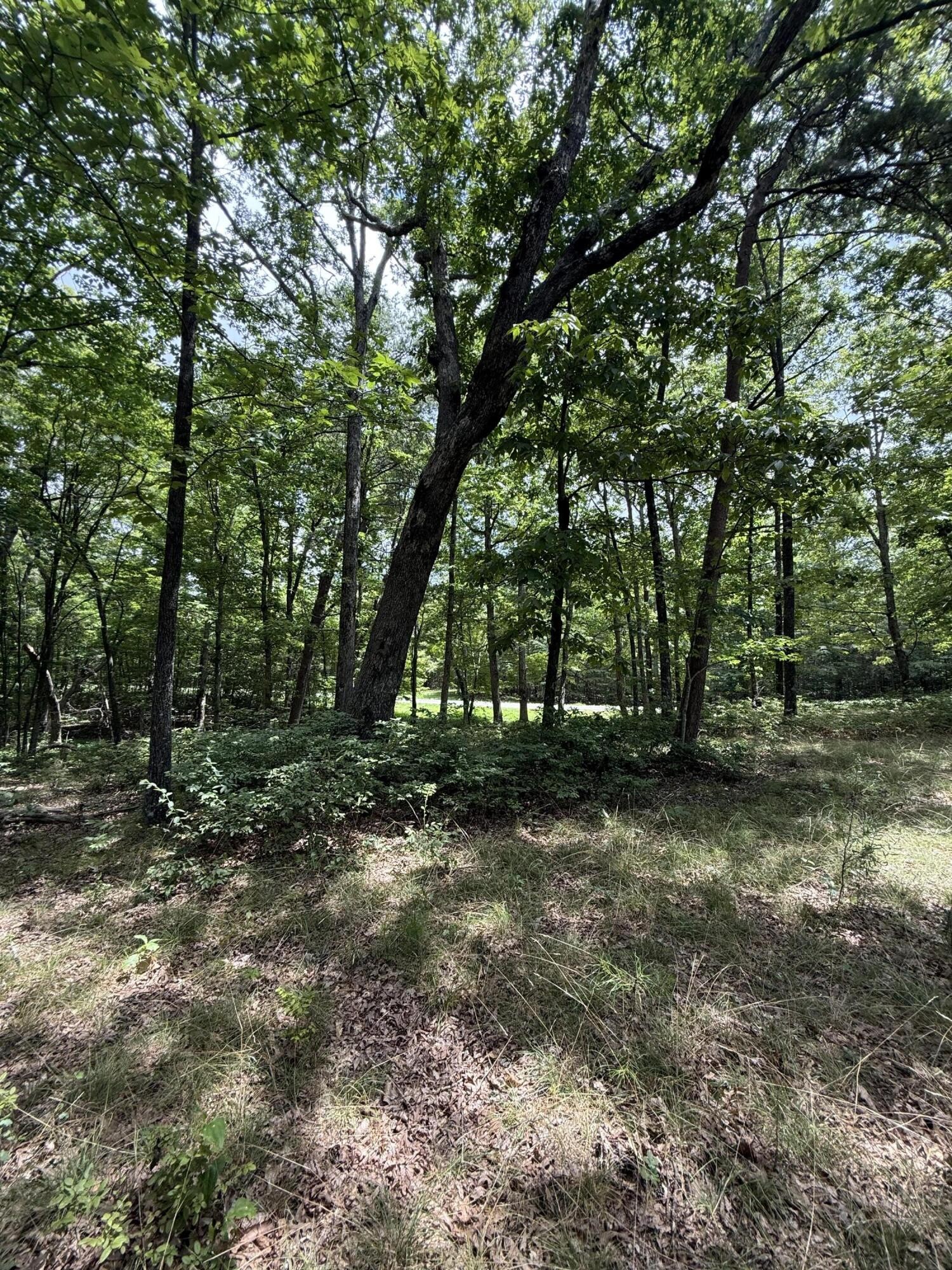 6 Greenfields Way, N Dunlap TN 37327