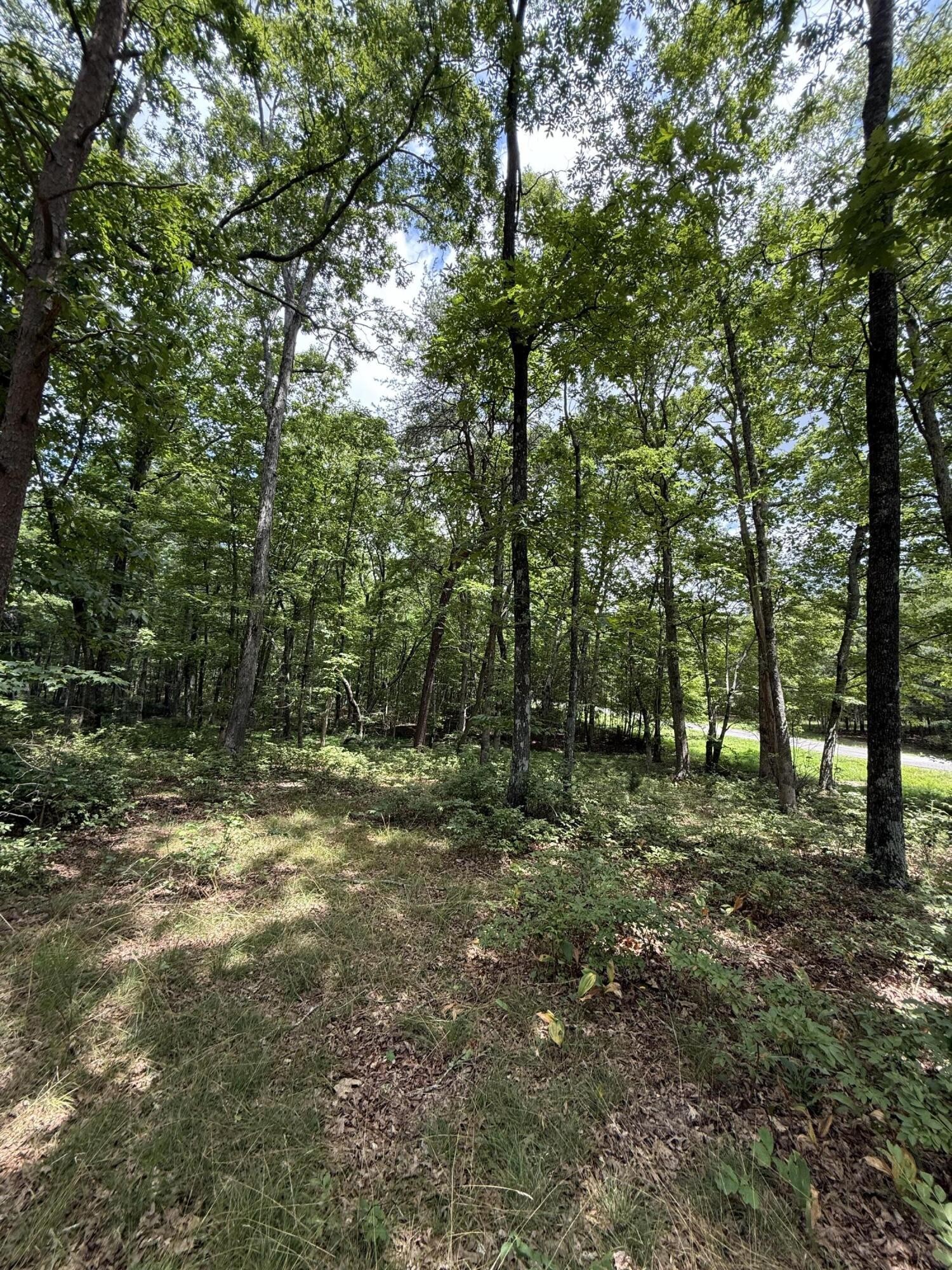 6 Greenfields Way, N Dunlap TN 37327