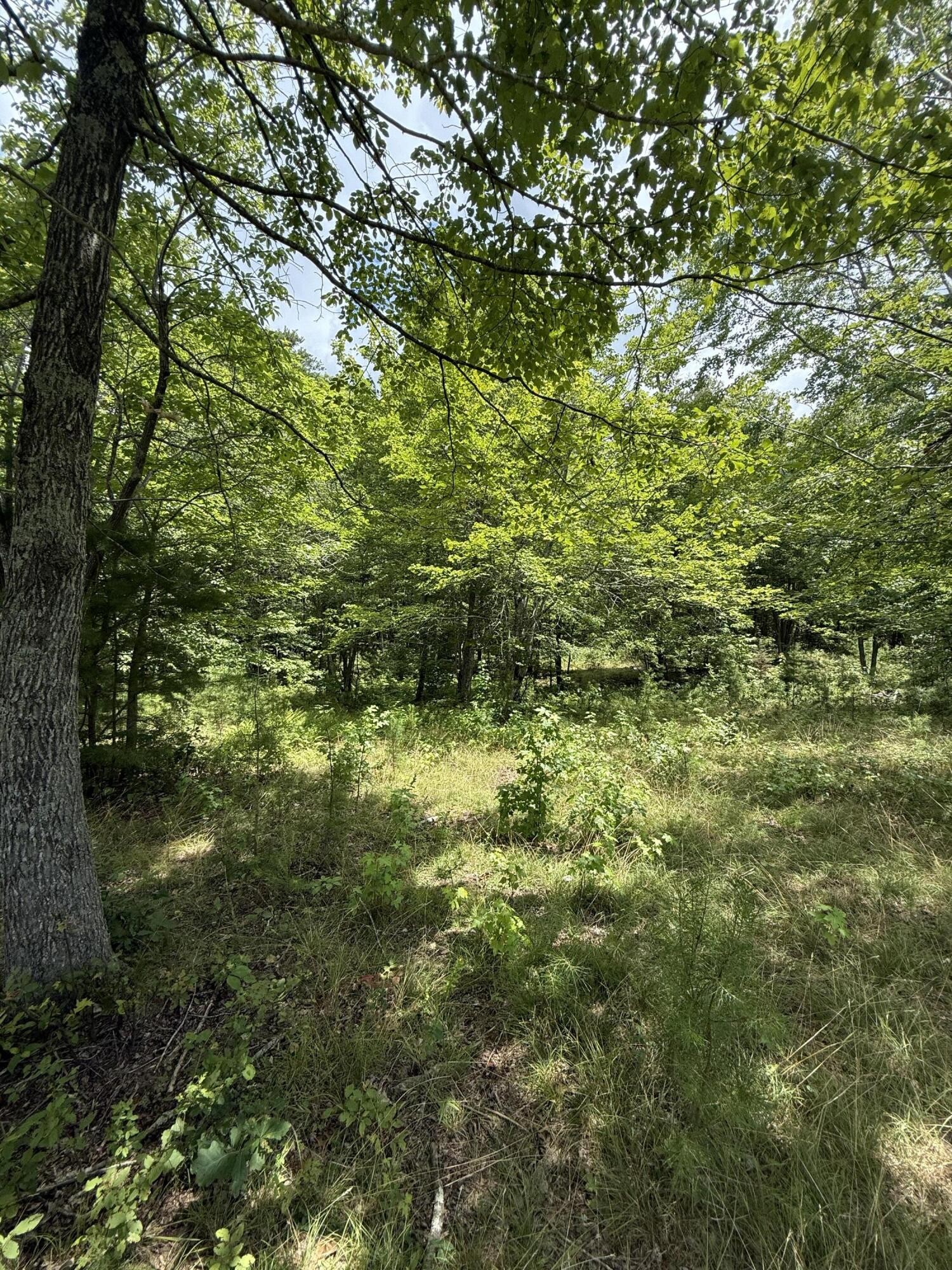 6 Greenfields Way, N Dunlap TN 37327