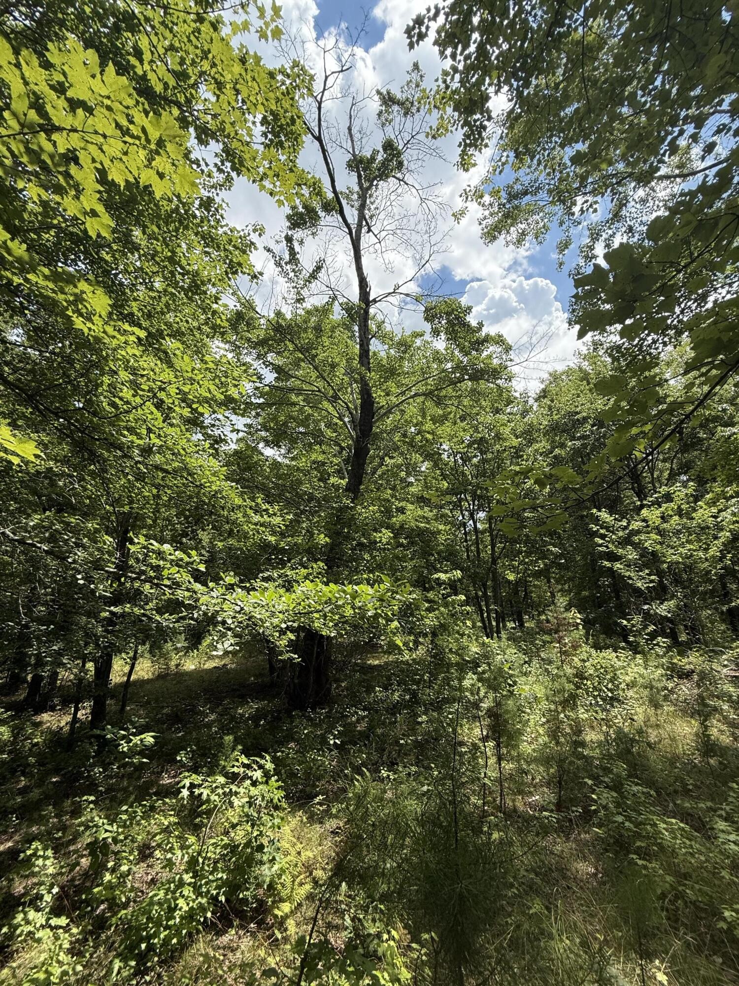 6 Greenfields Way, N Dunlap TN 37327