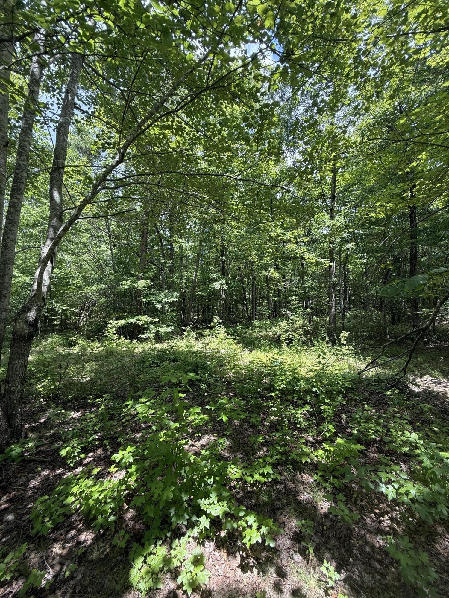 6 Greenfields Way, N Dunlap TN 37327