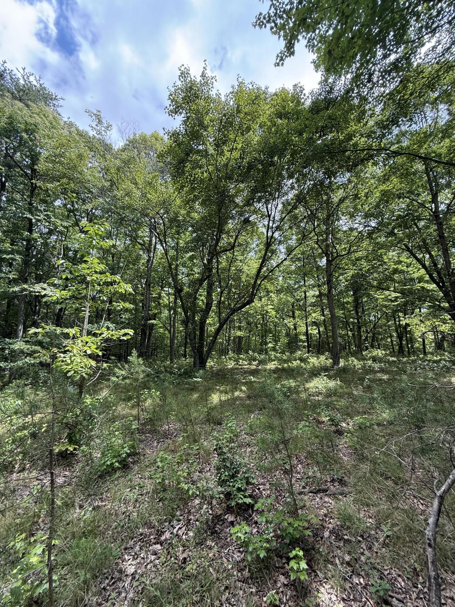 6 Greenfields Way, N Dunlap TN 37327