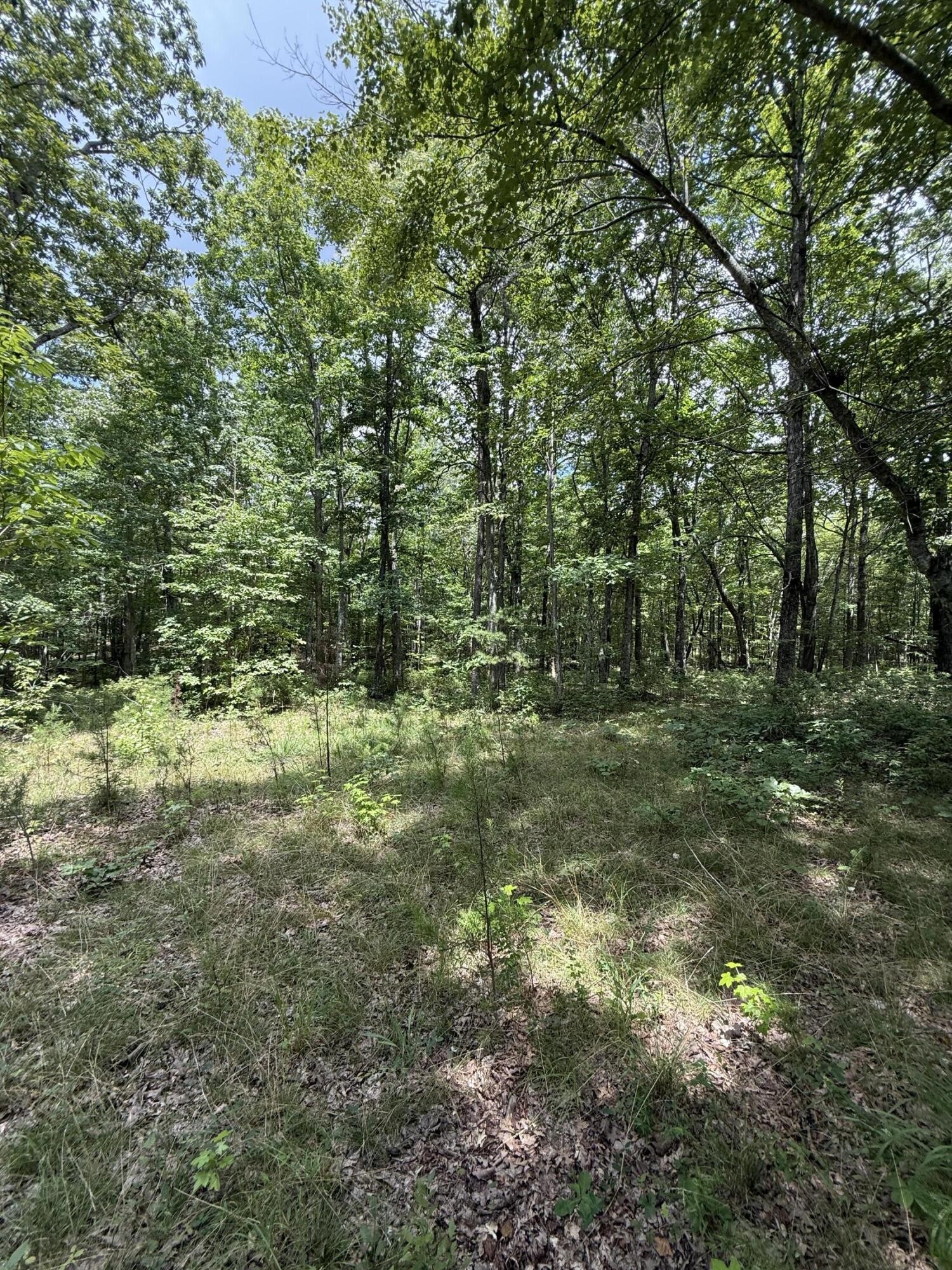 6 Greenfields Way, N Dunlap TN 37327