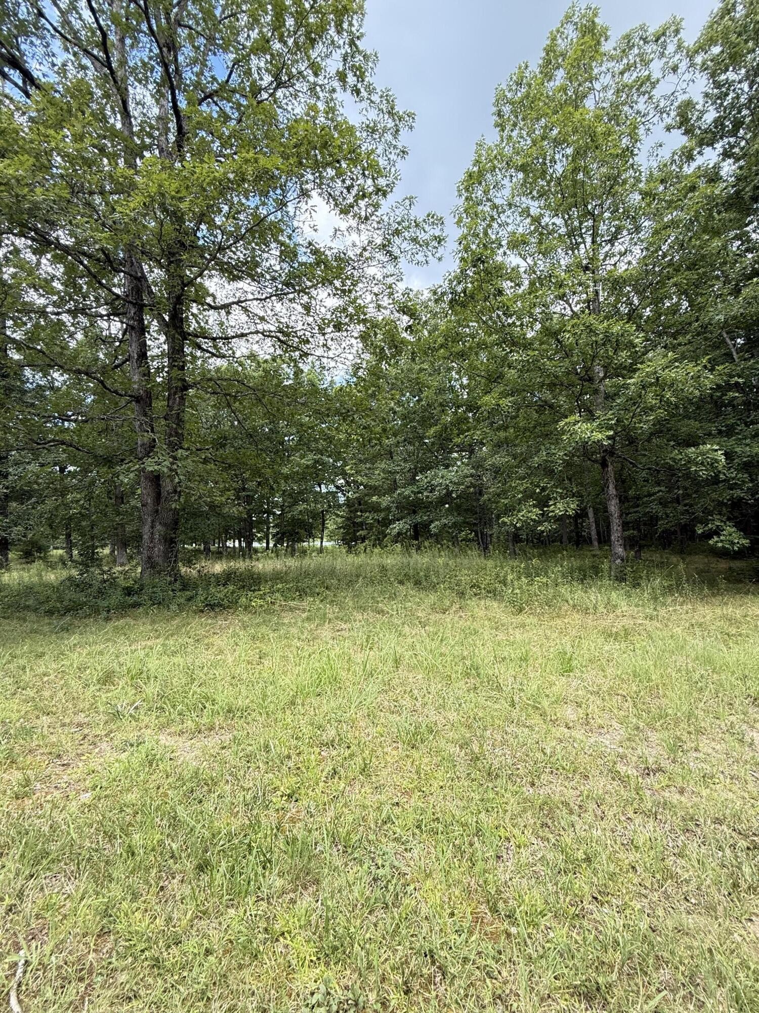 6 Greenfields Way, N Dunlap TN 37327