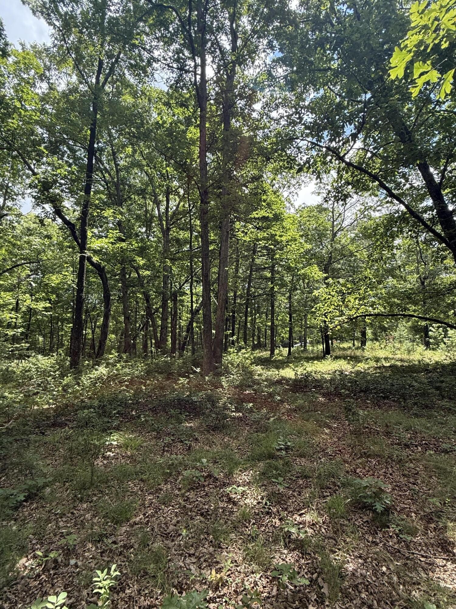 6 Greenfields Way, N Dunlap TN 37327