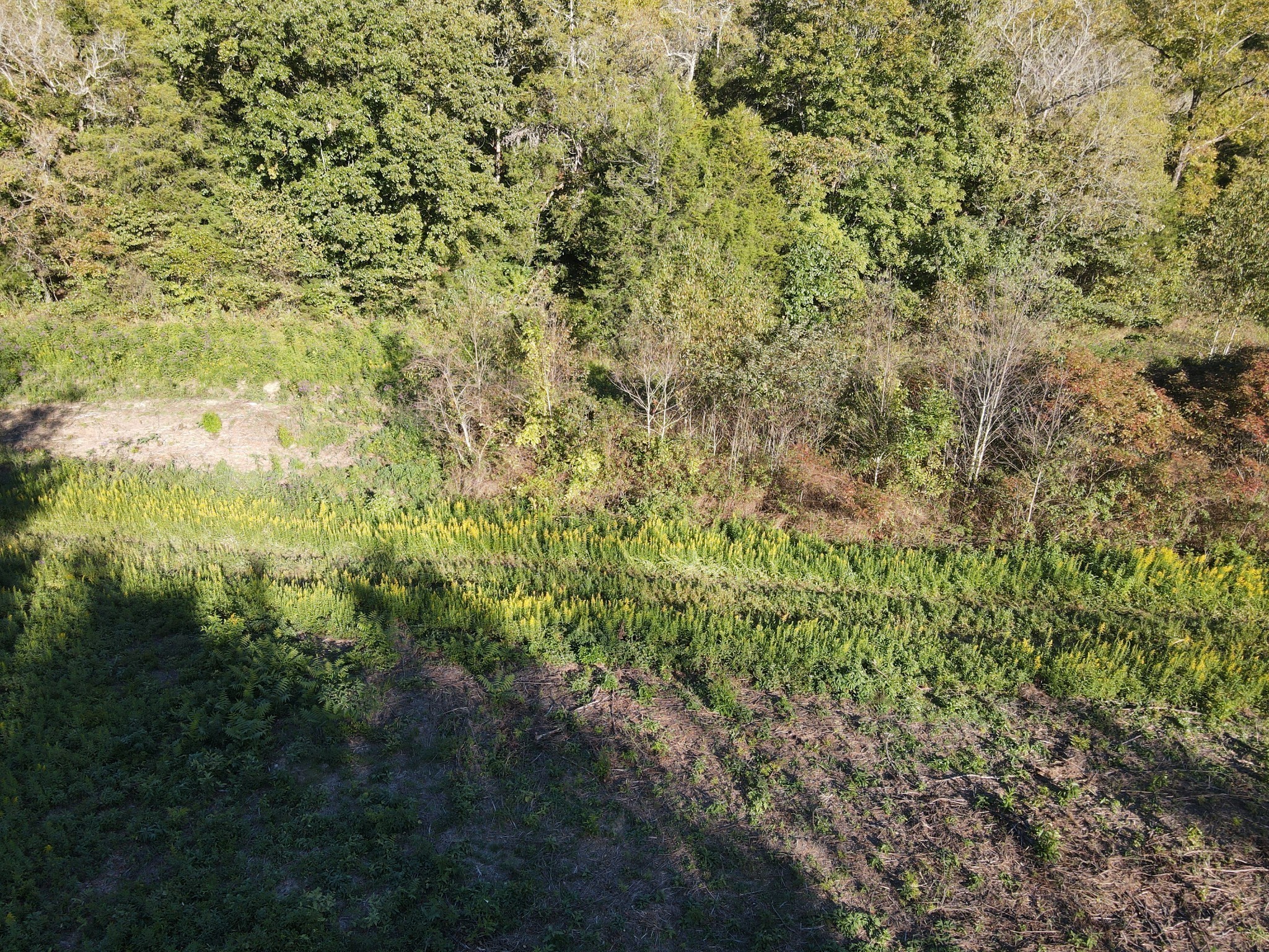 0 Cole Ridge Road Manchester TN 37355