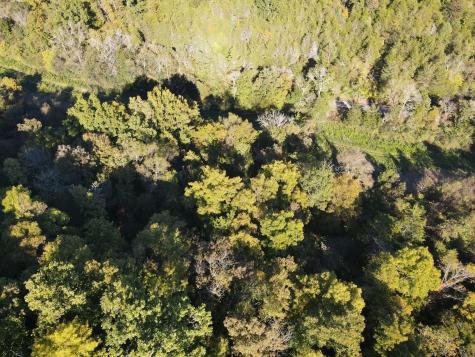 0 Cole Ridge Road Manchester TN 37355