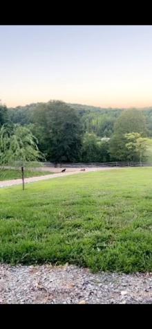 15843 South Road Cadiz KY 42211