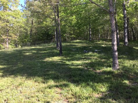 15843 South Road Cadiz KY 42211
