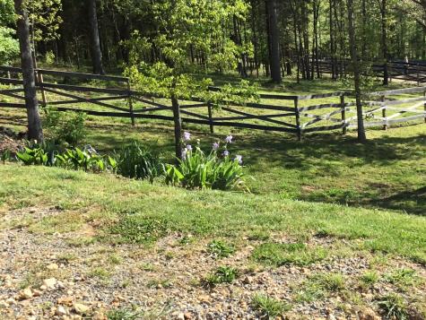 15843 South Road Cadiz KY 42211
