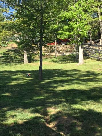 15843 South Road Cadiz KY 42211