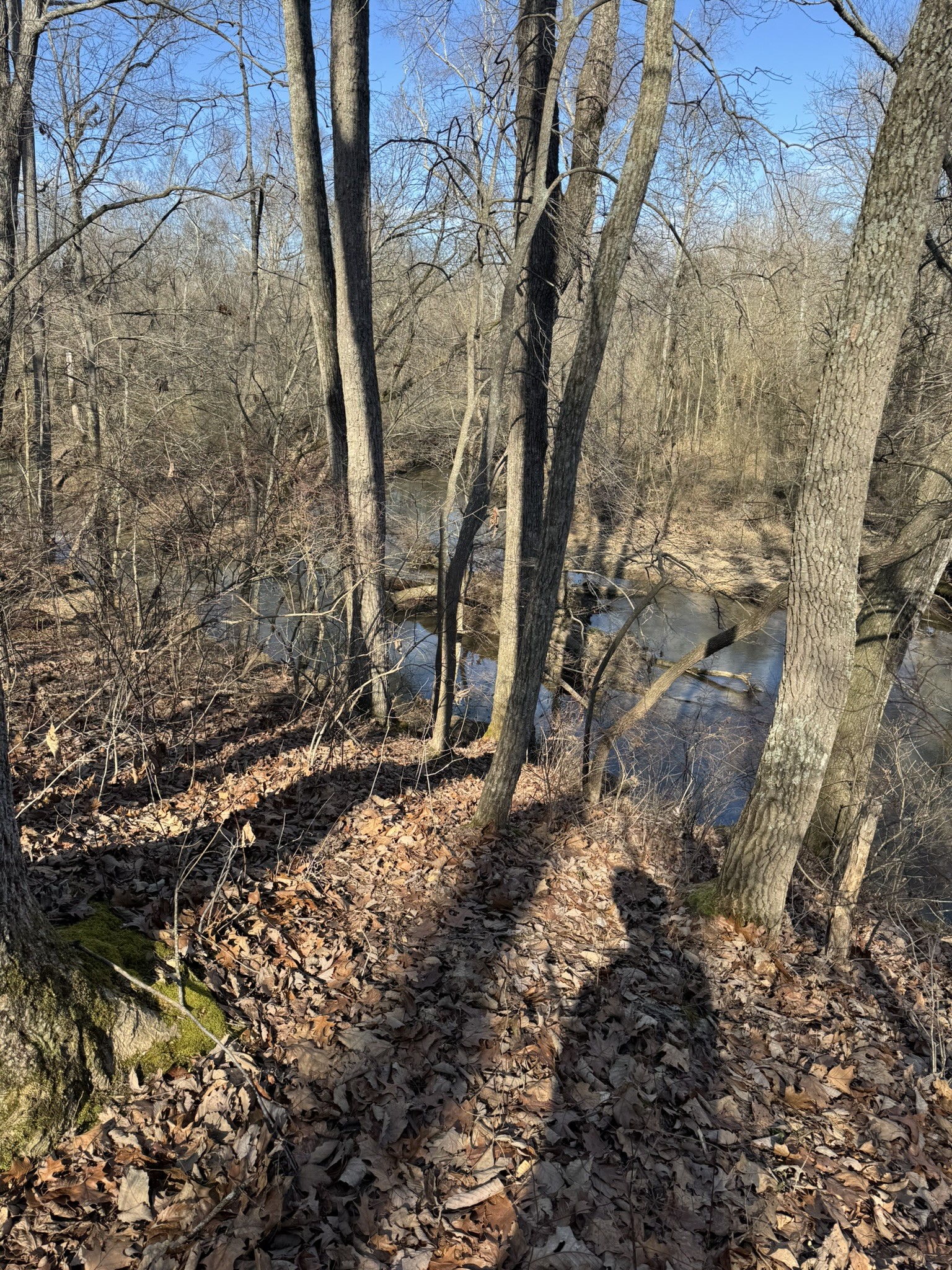 0 Bains Road Hillsboro TN 37342