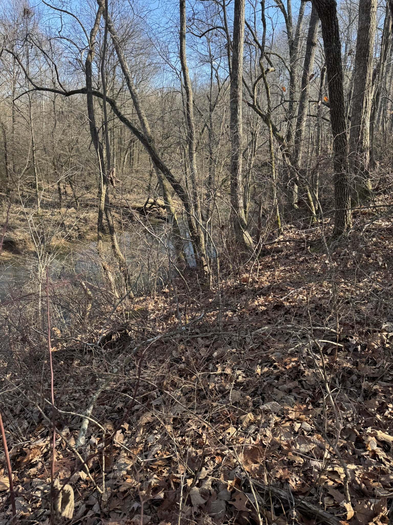 0 Bains Road Hillsboro TN 37342