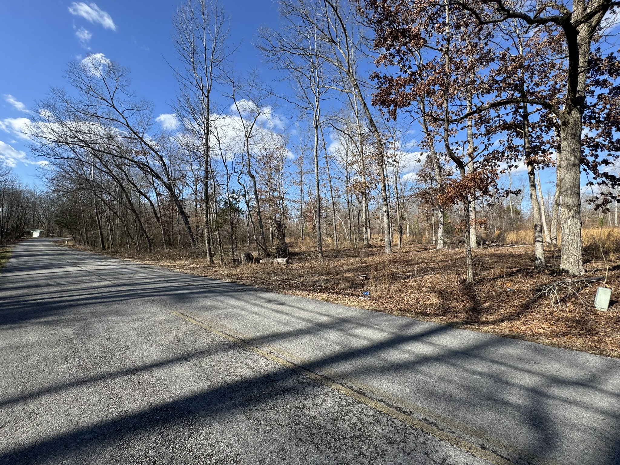 0 Bains Road Hillsboro TN 37342