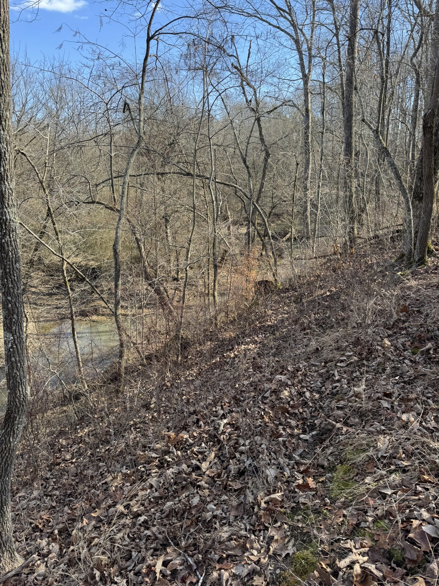 0 Bains Road Hillsboro TN 37342
