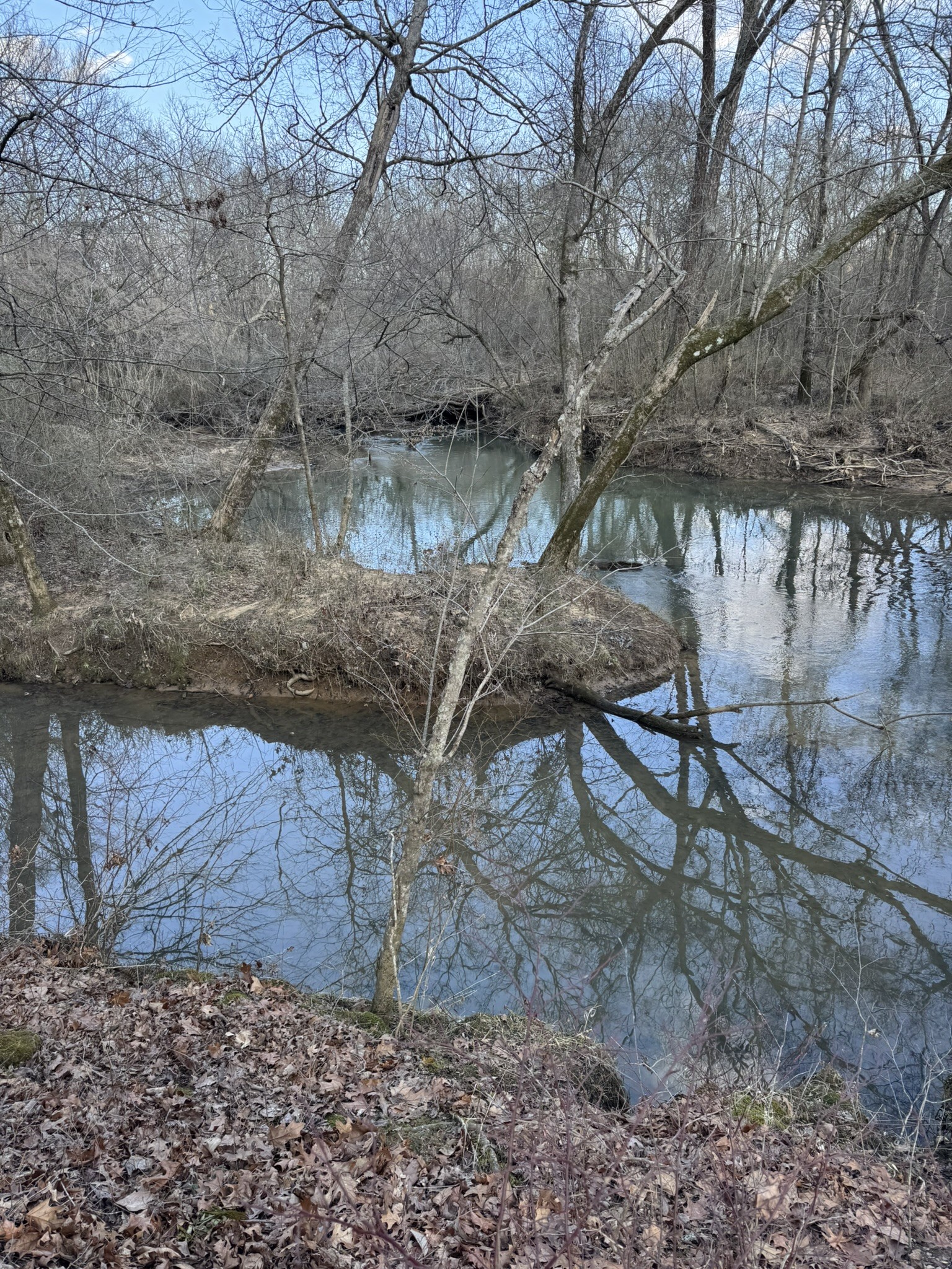 0 Bains Road Hillsboro TN 37342