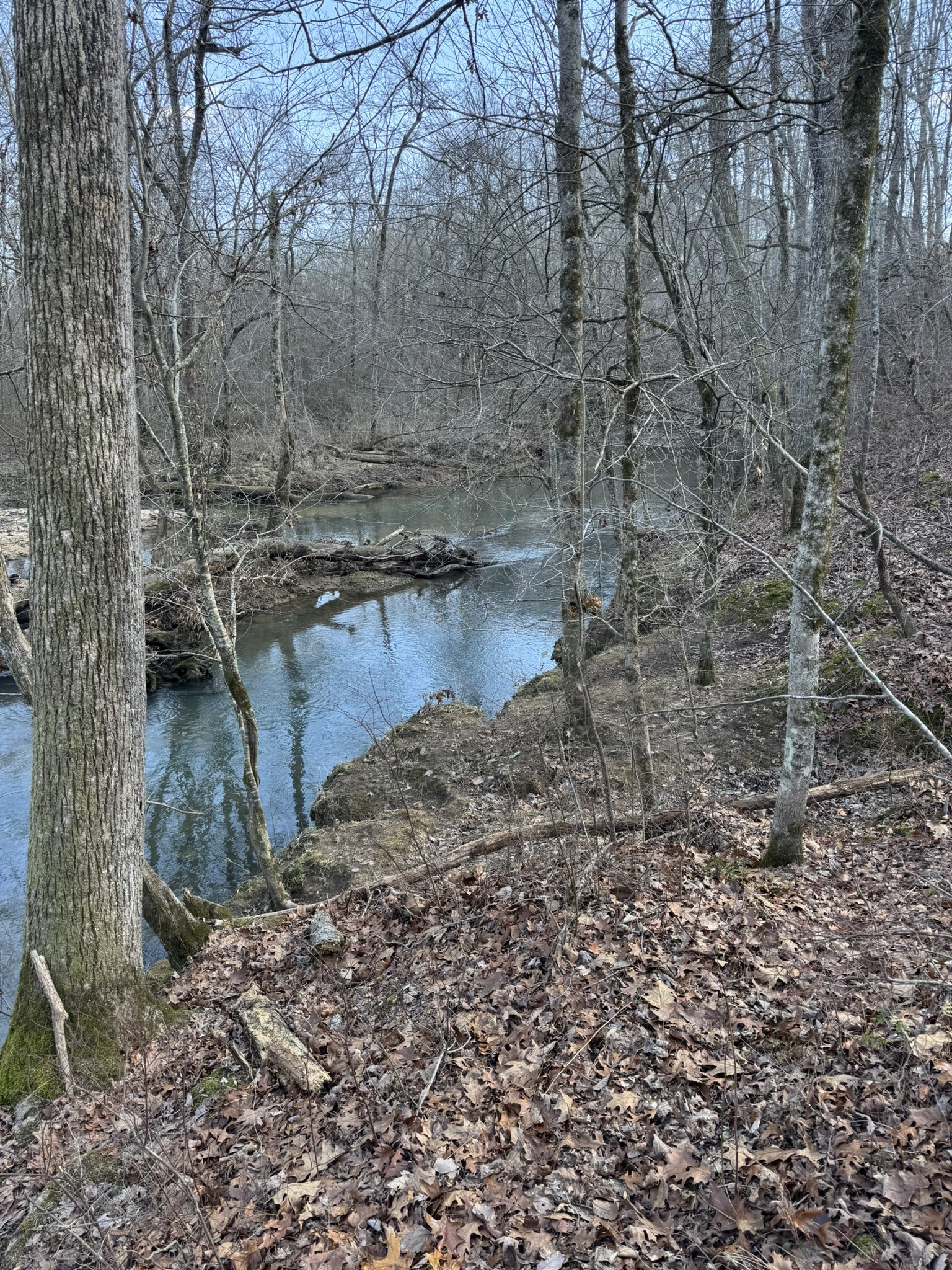 0 Bains Road Hillsboro TN 37342