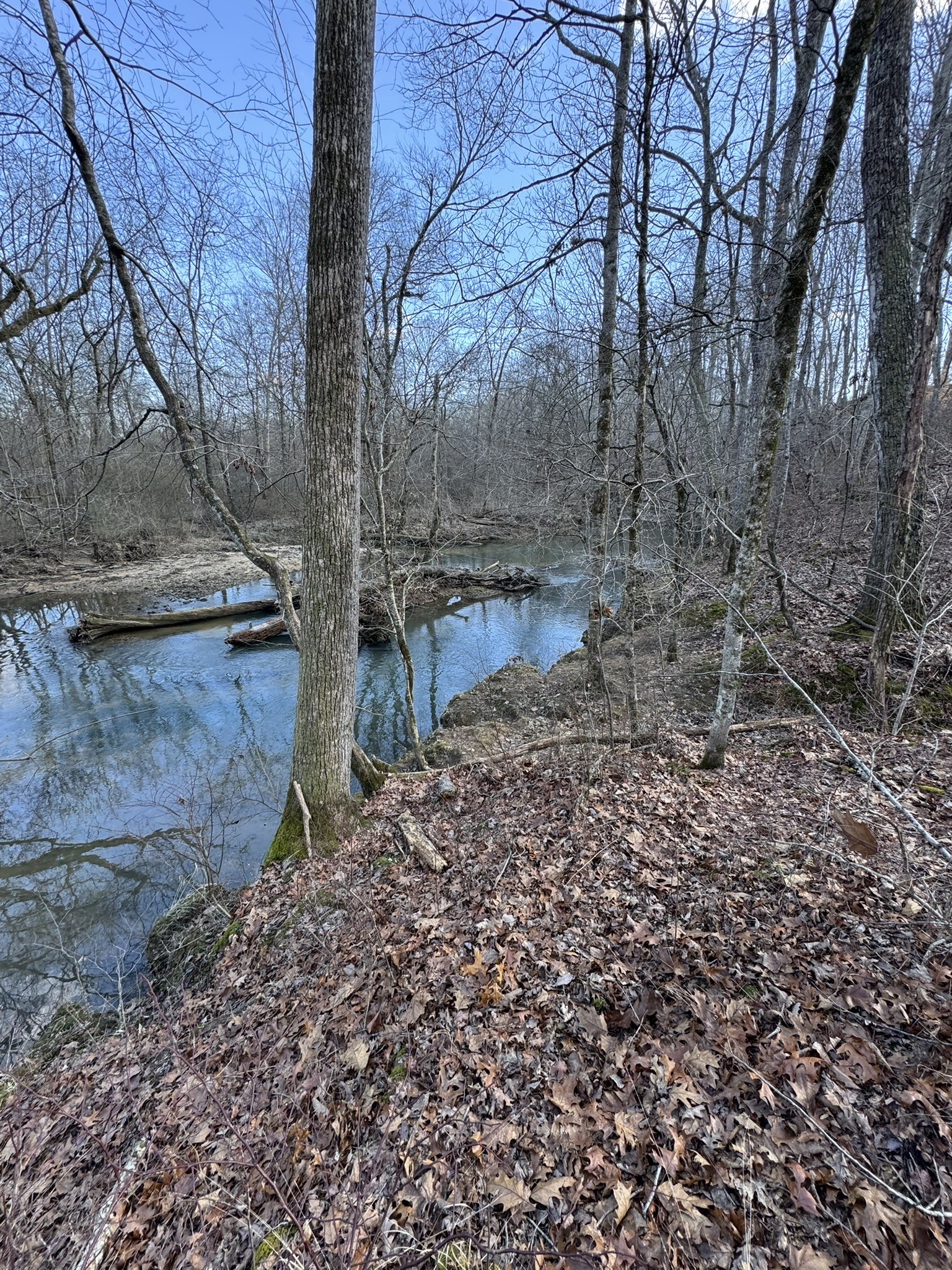 0 Bains Road Hillsboro TN 37342