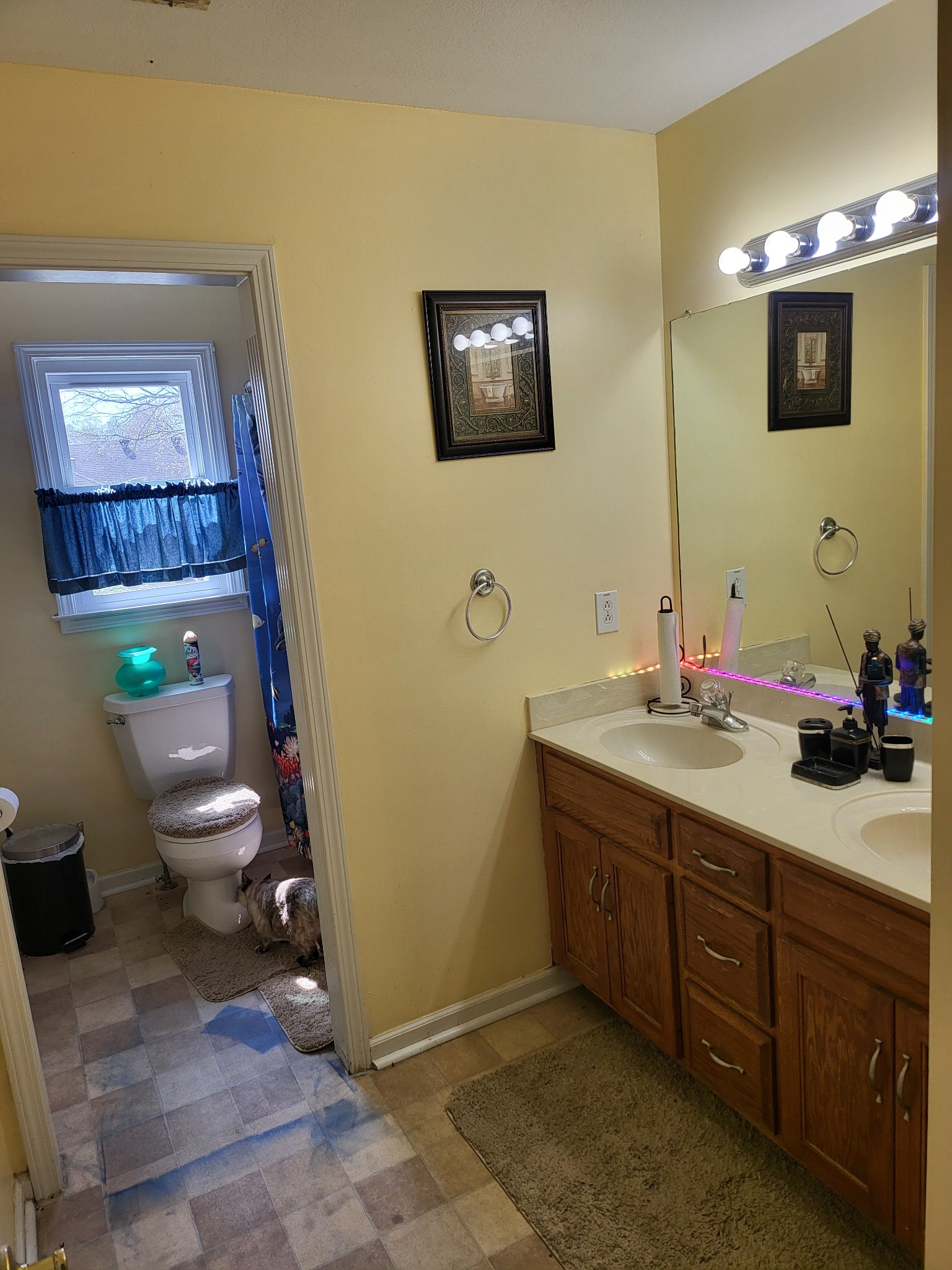 2555 Stone Briar Drive Clarksville TN 37043