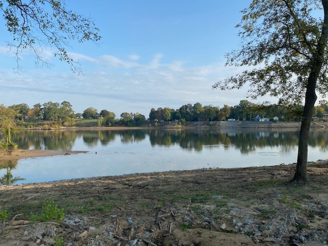0 Connie Beth Lane Savannah TN 38372