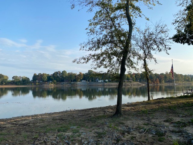 0 Connie Beth Lane Savannah TN 38372