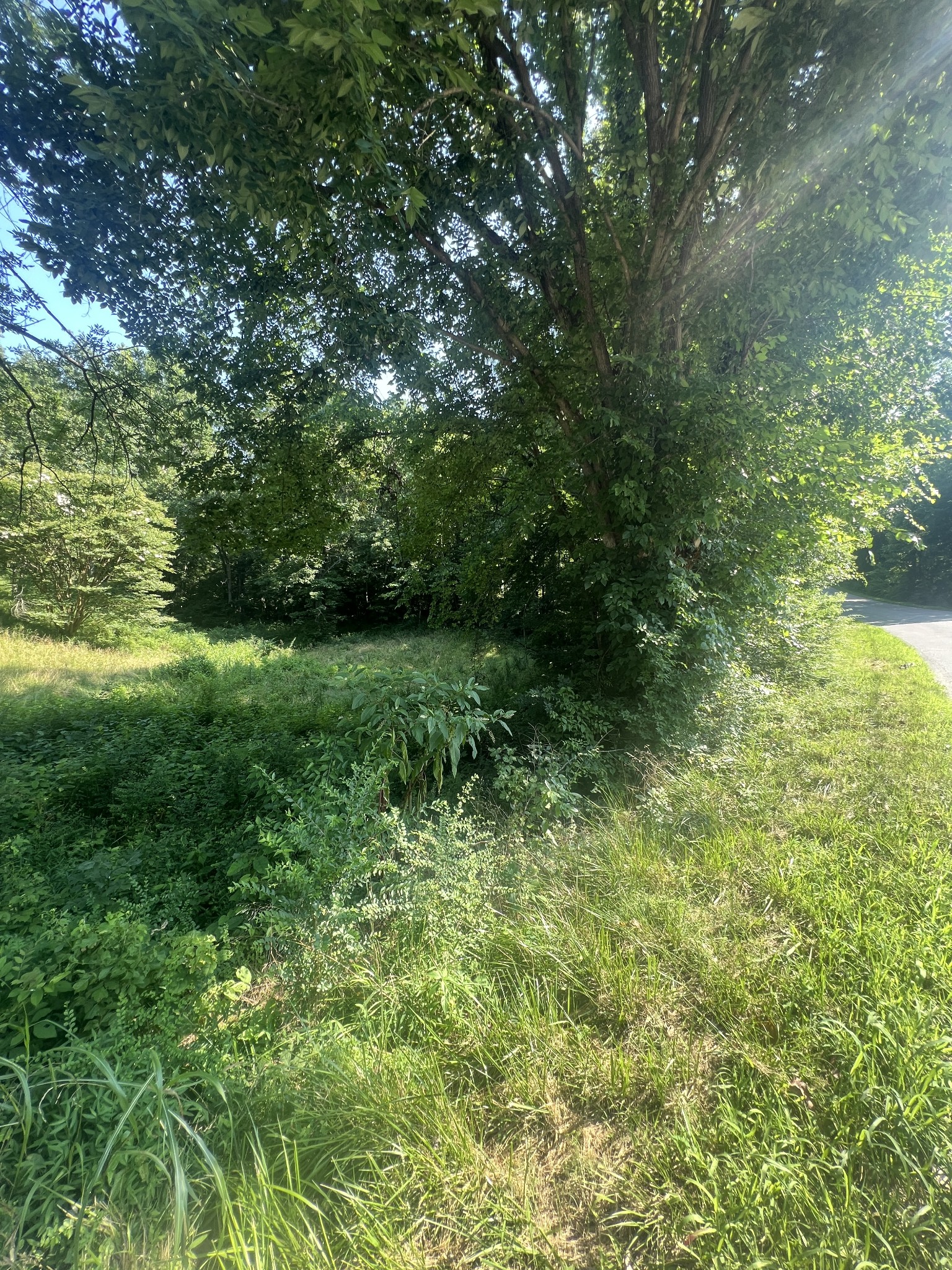 0 Annette Drive Ashland City TN 37015