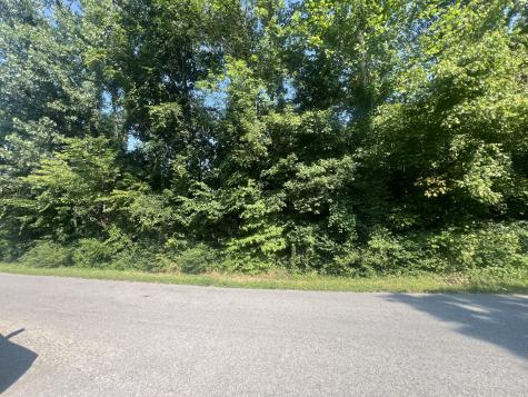 0 Annette Drive Ashland City TN 37015