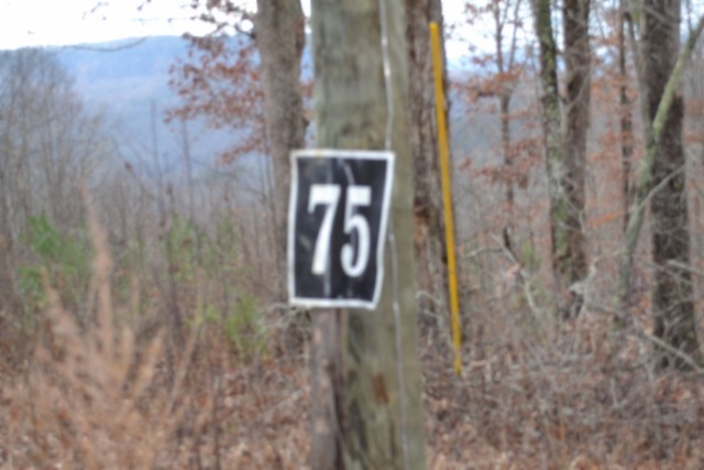0 Tomahawk Road Jamestown TN 38556