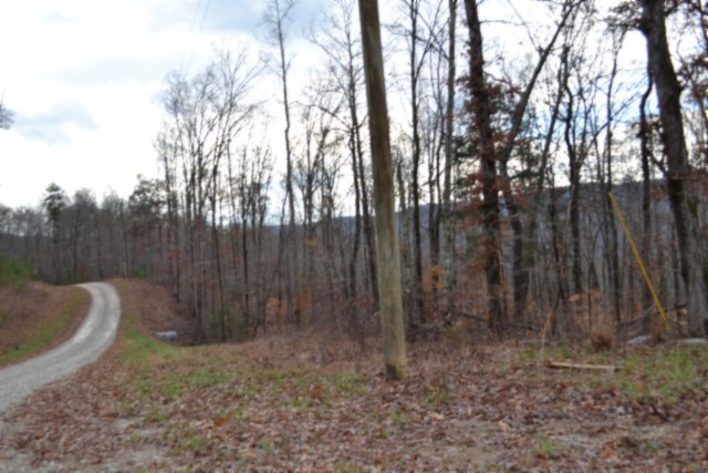 0 Tomahawk Road Jamestown TN 38556