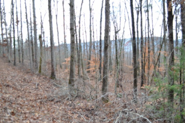 0 Tomahawk Road Jamestown TN 38556