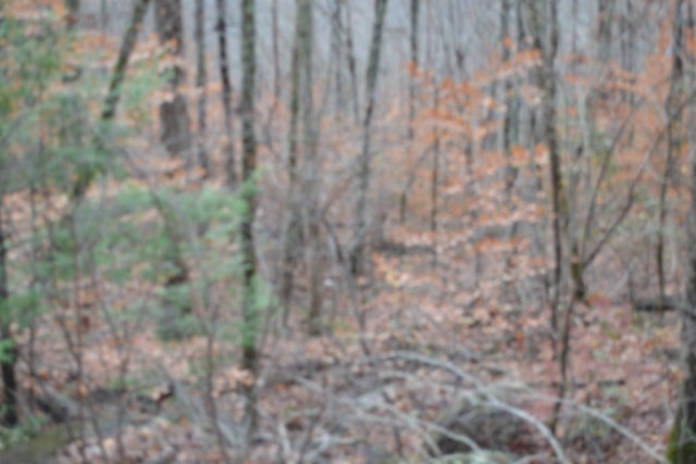 0 Tomahawk Road Jamestown TN 38556