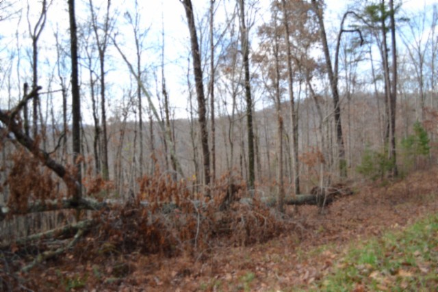 0 Tomahawk Road Jamestown TN 38556