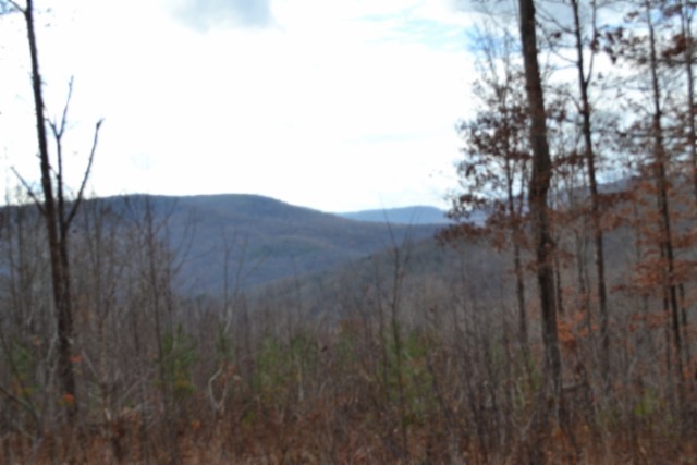 0 Tomahawk Road Jamestown TN 38556