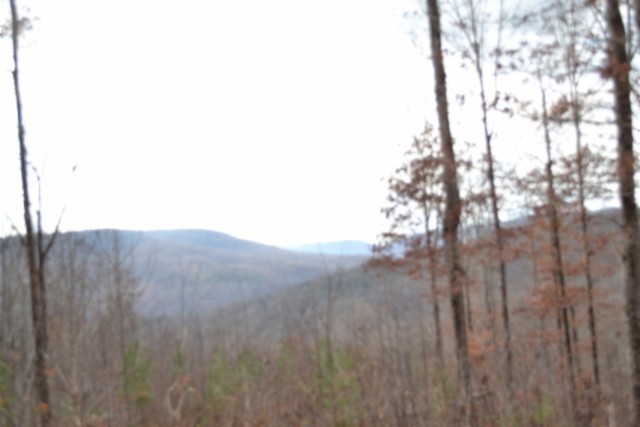 0 Tomahawk Road Jamestown TN 38556