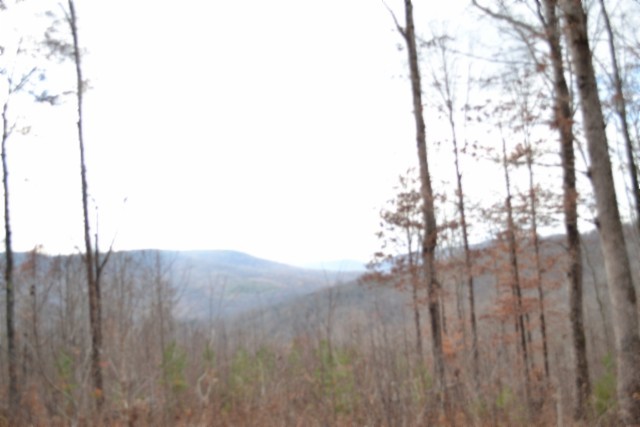 0 Tomahawk Road Jamestown TN 38556