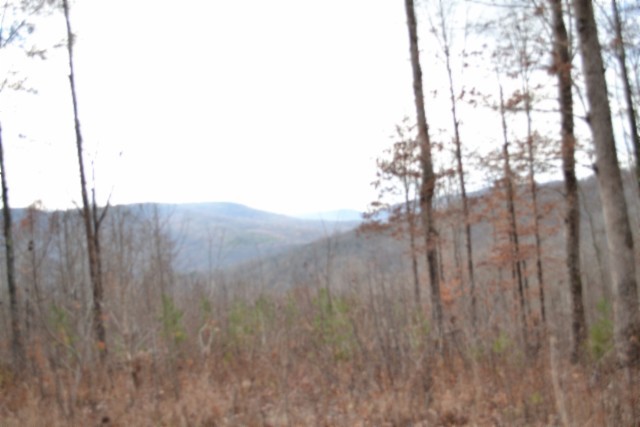0 Tomahawk Road Jamestown TN 38556