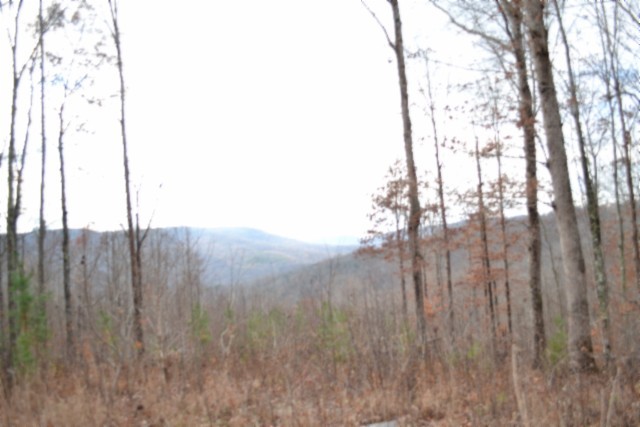 0 Tomahawk Road Jamestown TN 38556