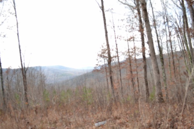 0 Tomahawk Road Jamestown TN 38556
