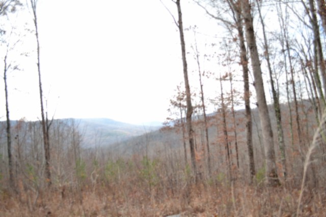 0 Tomahawk Road Jamestown TN 38556