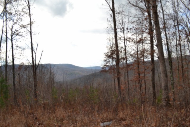 0 Tomahawk Road Jamestown TN 38556