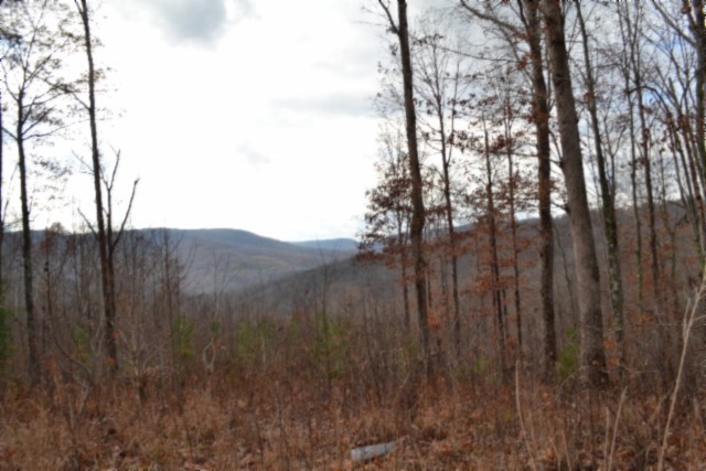 0 Tomahawk Road Jamestown TN 38556