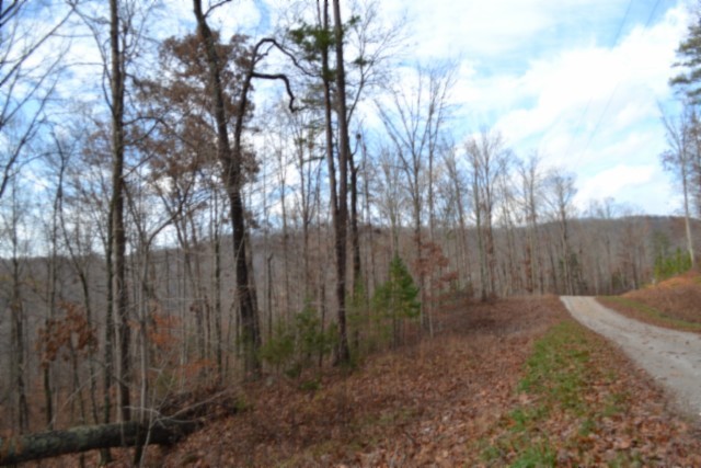 0 Tomahawk Road Jamestown TN 38556