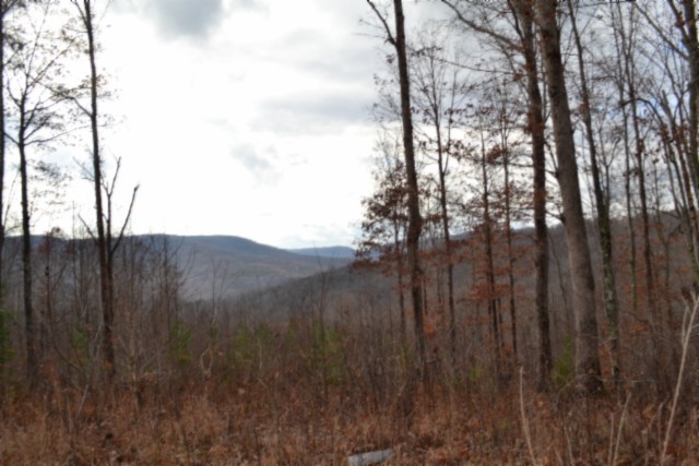 0 Tomahawk Road Jamestown TN 38556
