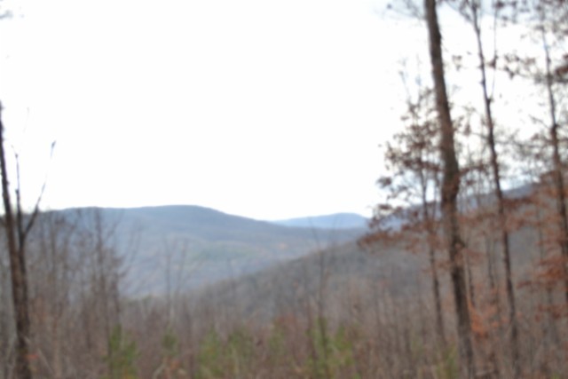 0 Tomahawk Road Jamestown TN 38556