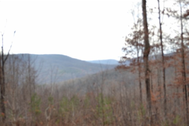 0 Tomahawk Road Jamestown TN 38556